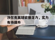 开云体育app-沙尔克赢球欲振乏力，实力有待提升的简单介绍