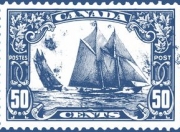 开云官网-加拿大血洗波兰，佩德里关键制胜：世界杯一战成名