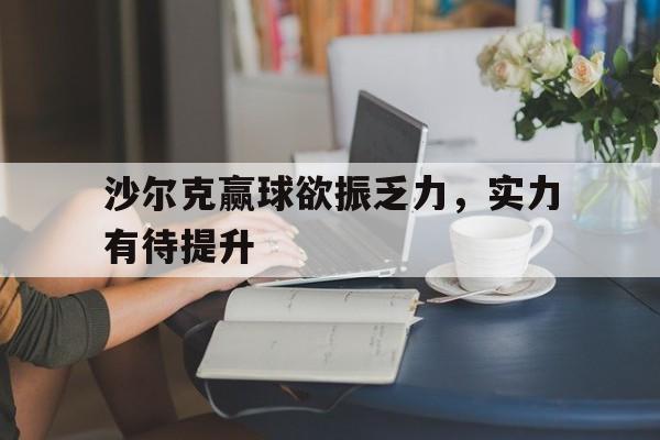 沙尔克赢球欲振乏力，实力有待提升的简单介绍