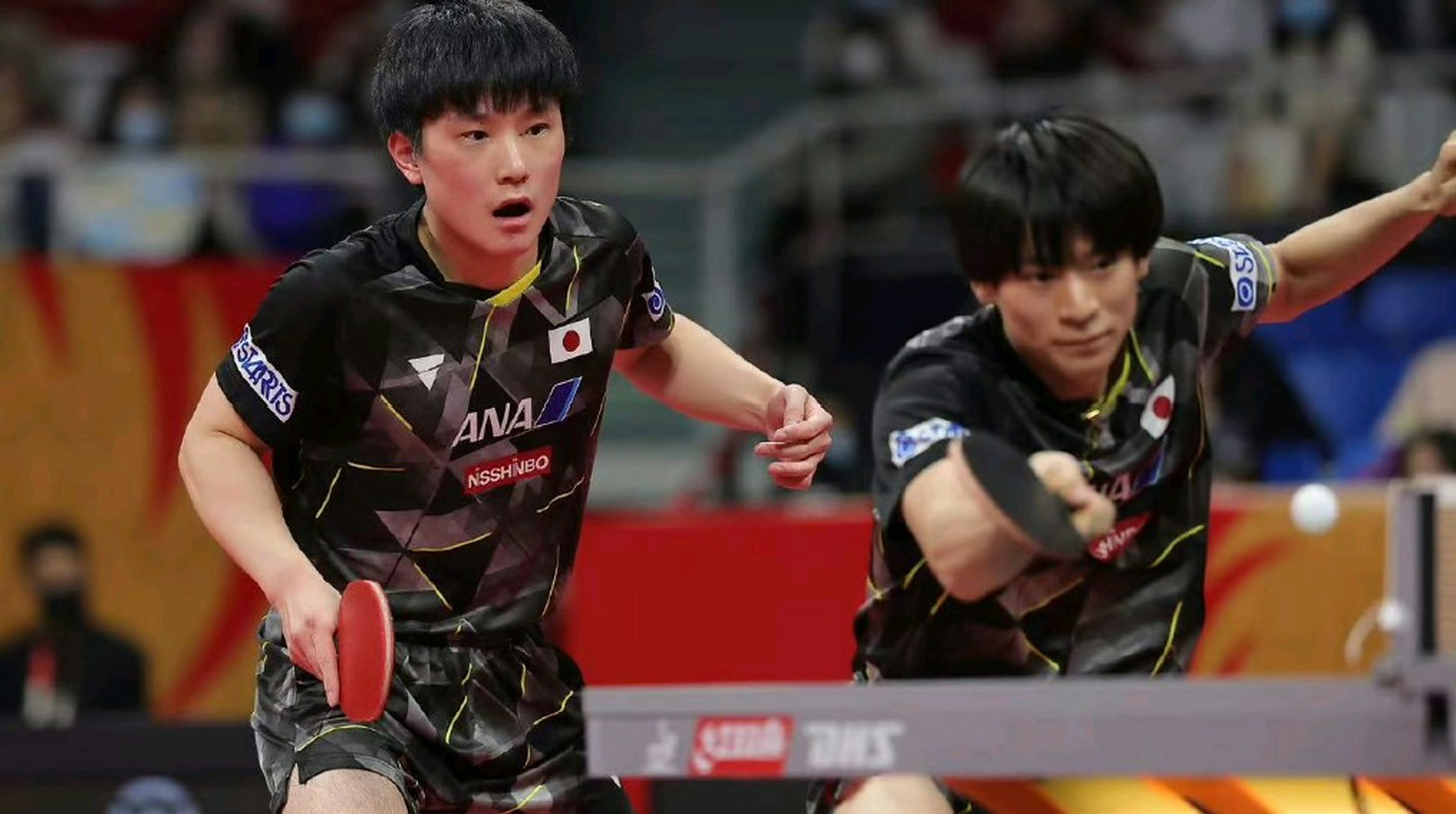 关于德国乒乓球队翻盘奥地利乒乓球队，张本智和爆发神勇的信息