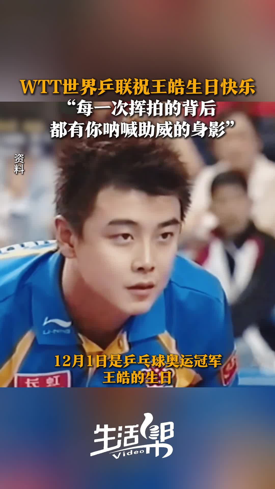 中国乒乓球队强势法国乒乓球队，王皓惊艳世界的简单介绍